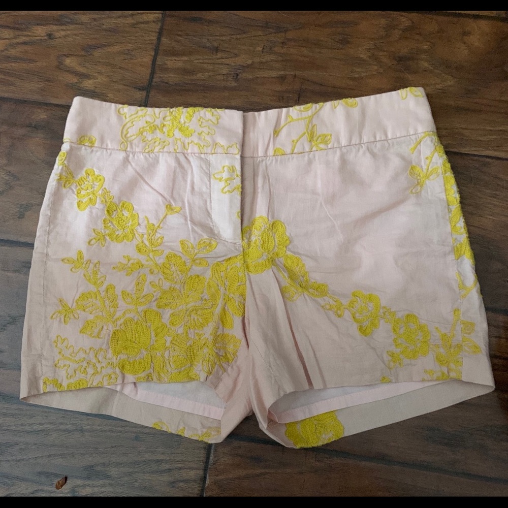 J Crew Embroidered Lined Shorts